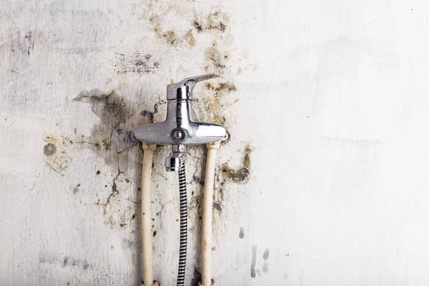 Water Damage Restoration in Clinton, LA