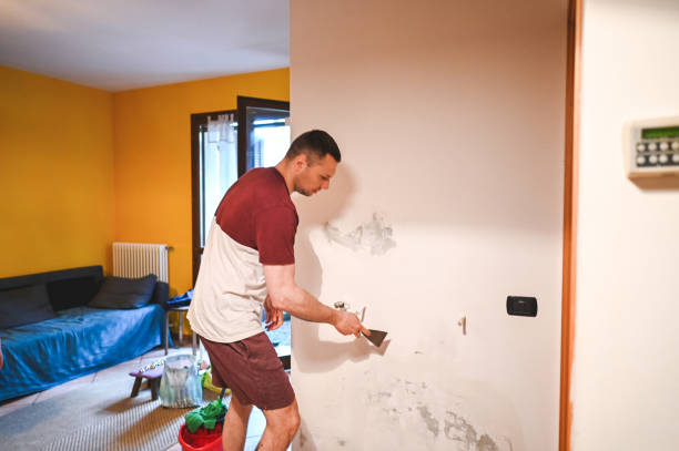 Mold Testing and Removal in Clinton, LA