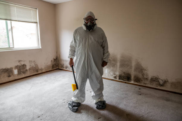 Best Residential Mold Removal  in Clinton, LA