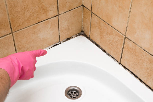 Best Certified Mold Removal  in Clinton, LA